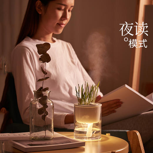 飞比生态加湿器S1 商品图3