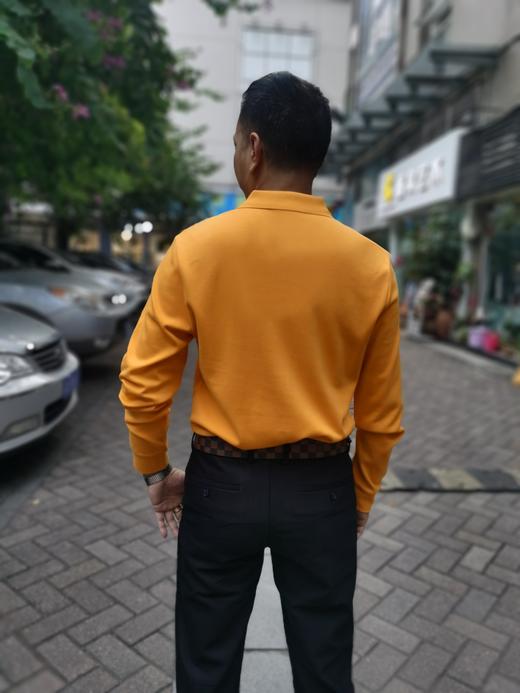 男反领长袖T83001 商品图6