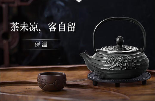 【品牌直发】铸味 |  0.4L菊花壶铸铁茶壶生铁壶泡茶壶煮水壶手工铸造电磁炉适用 商品图0