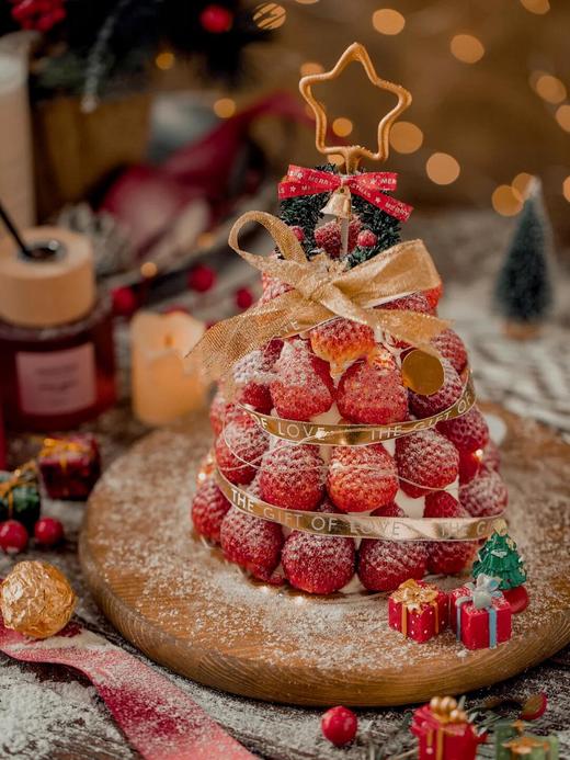 红果树 商品图3