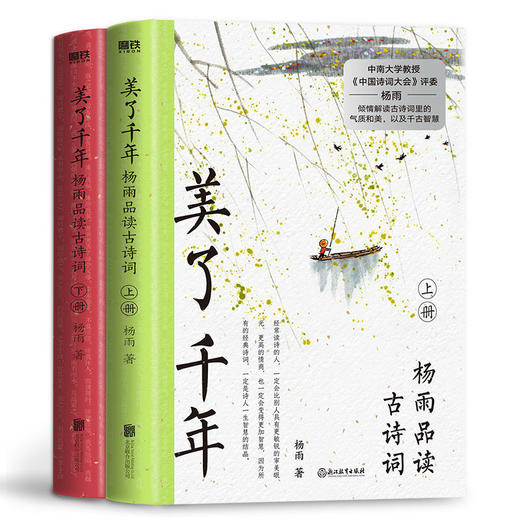 美了千年杨雨品读古诗词(上下册)古诗词气质和美千古智慧 商品图1