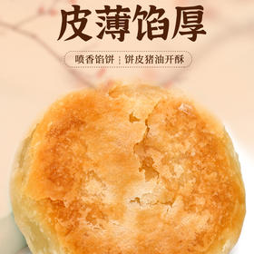 早龙印象系列馅饼素饼肉饼老婆饼 厦门馅饼特产老字号糕点伴手礼