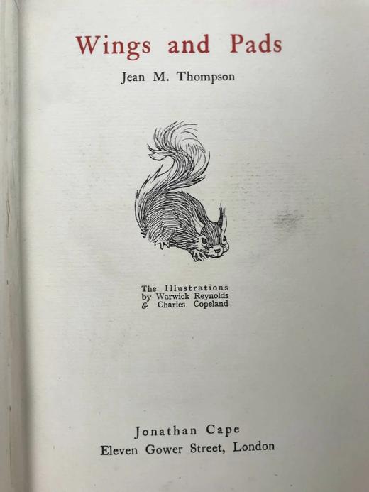 1922年 翅膀与爪垫 8幅插图 漆布精装32开 商品图4