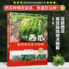 设施西瓜高效栽培技术图解 商品缩略图0