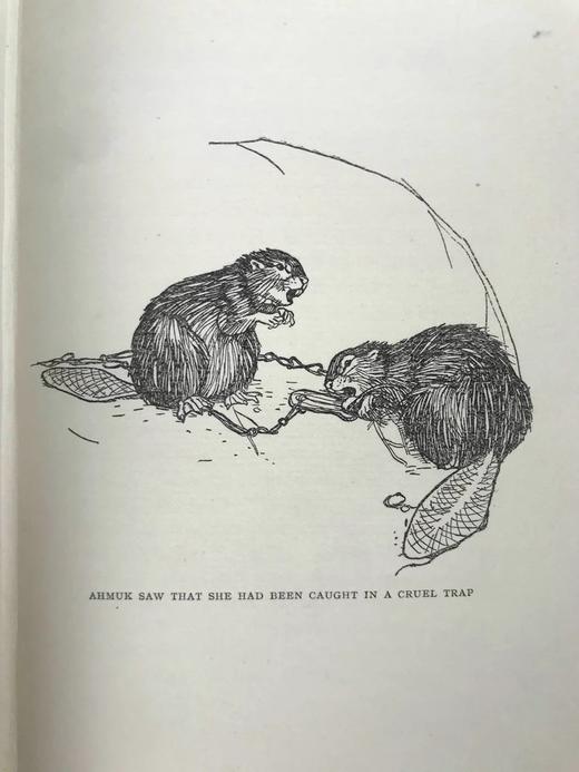 1922年 翅膀与爪垫 8幅插图 漆布精装32开 商品图7