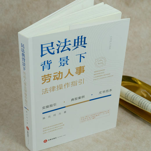 民法典背景下劳动人事法律操作指引   陈元 何力著 商品图5