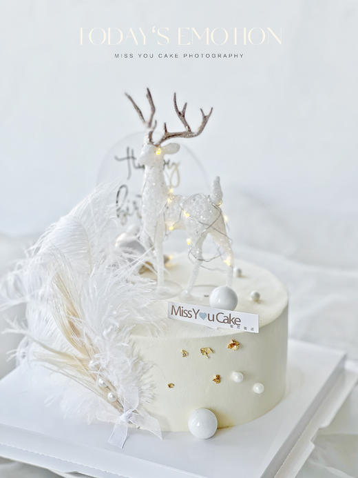 定制款蛋糕 - 星空麋鹿 商品图0