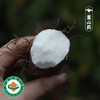 【10/23开始发货｜农场直邮】有机董山药丨5斤（雅安） 商品缩略图1