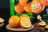 17.5°甜橙 商品缩略图2