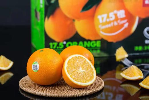 17.5°甜橙 商品图2
