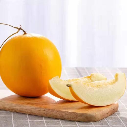 蜜瓜 商品图0