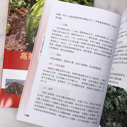 设施西瓜高效栽培技术图解 商品图7
