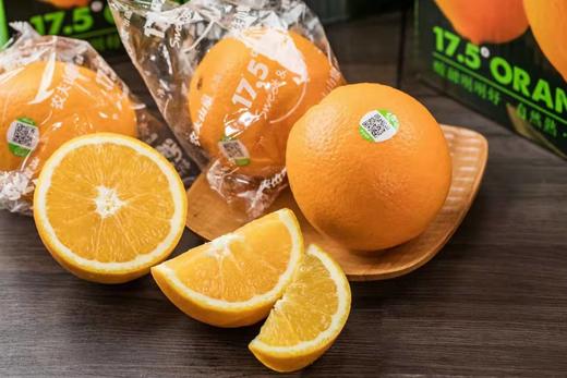 17.5°甜橙 商品图3