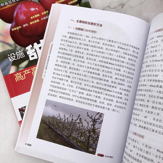 设施甜樱桃高产高效栽培技术图解 商品图6