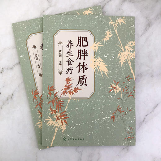 肥胖体质养生食疗 商品图1