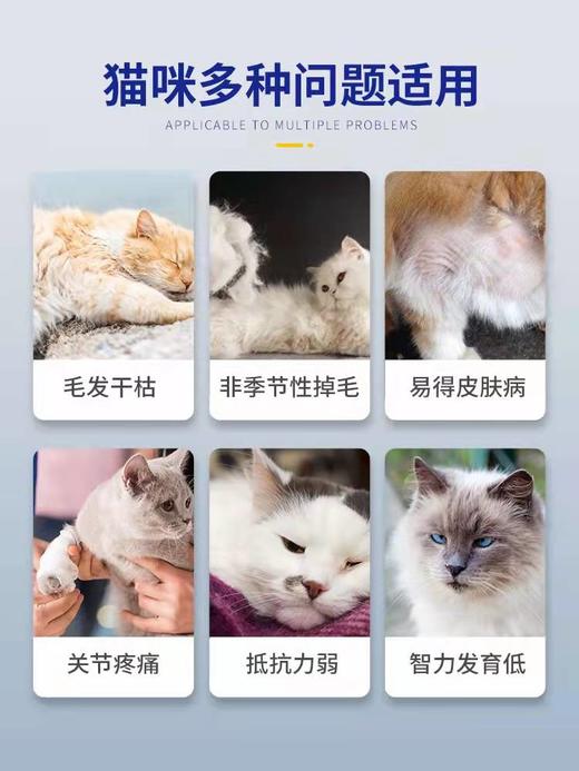 MAG U+鱼油胶囊 猫咪专用 超浓缩天然鱼油 100粒/瓶 商品图4