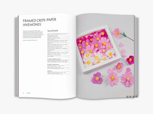 Paper Crafts: A Maker's Guide/纸工艺品：制造商指南 商品图2