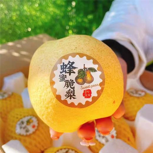【蜂蜜脆梨】12枚左右/箱/约5.5斤，酥脆、化渣、爆汁甜蜜 商品图0