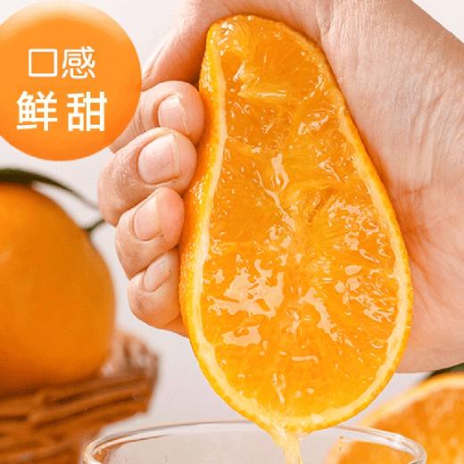 【象山红美人】4.5-5斤/礼盒/12枚大果，浓纯香甜正宗口感 商品图5