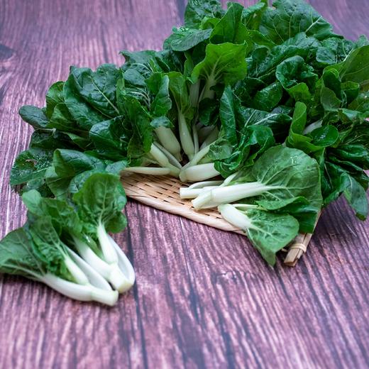 东升农场    有机奶白苗 小白菜苗 广州供港新鲜蔬菜配送250g 商品图2