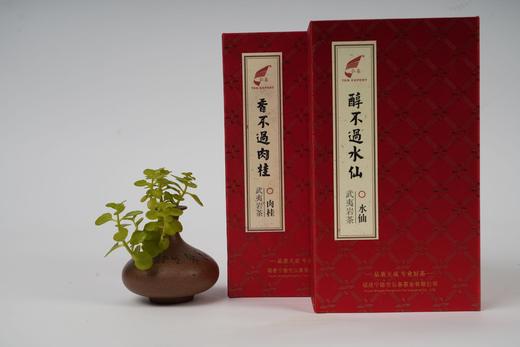 纳珍岩谷花香肉桂水仙组合款 商品图6