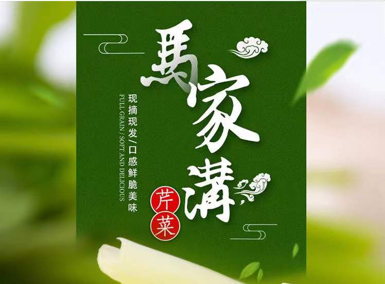 正宗马家沟芹菜净重2.5斤±50克/盒