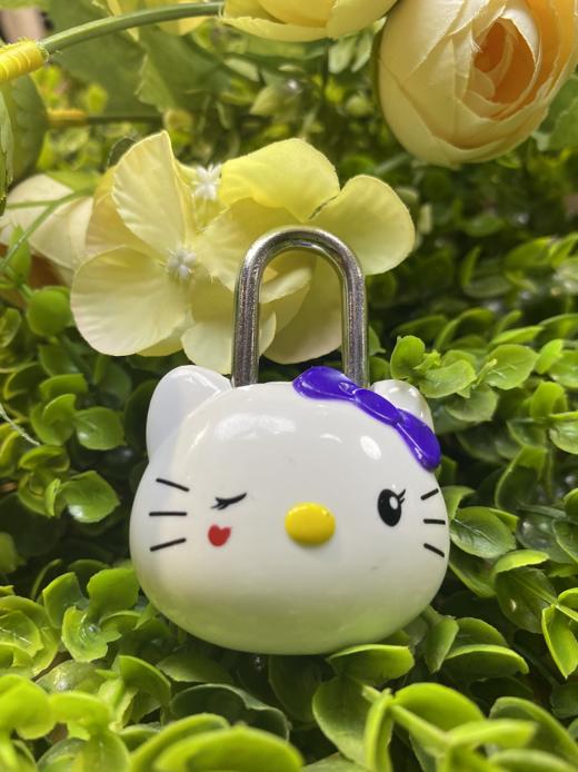 KT猫密码锁53*40*27MM/JY-80061 商品图2