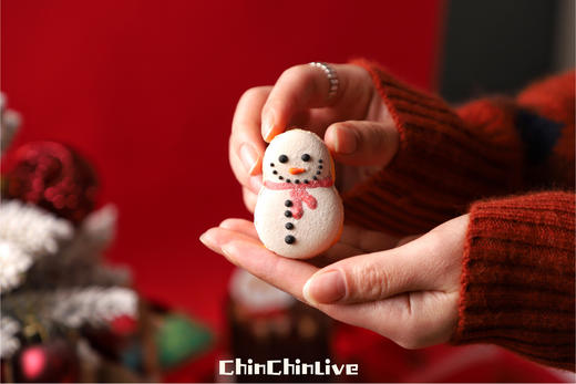 圣诞马卡龙礼盒 商品图1