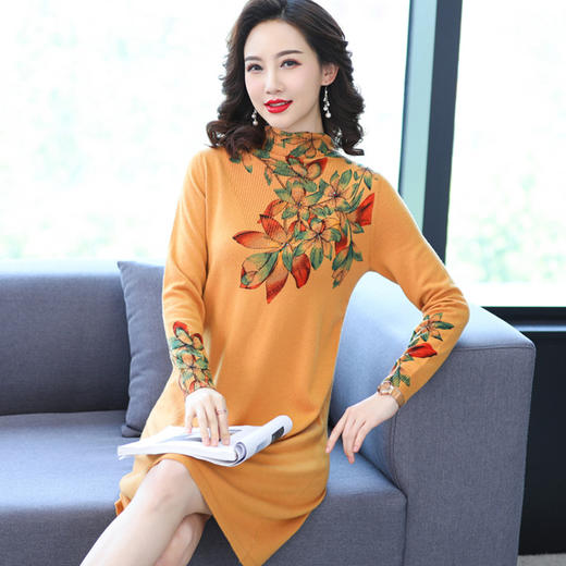 毛衣女半高领保暖羊毛衫2021秋冬新款洋气提花针织连衣裙子 EE-ED62-1105F6 商品图1