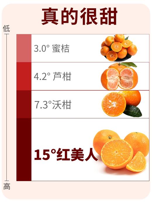 【象山红美人】4.5-5斤/礼盒/12枚大果，浓纯香甜正宗口感 商品图4