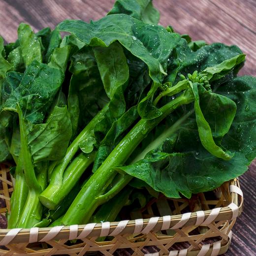 东升农场 有机芥兰苗 芥蓝苗 广州供港新鲜蔬菜配送 250g 商品图2