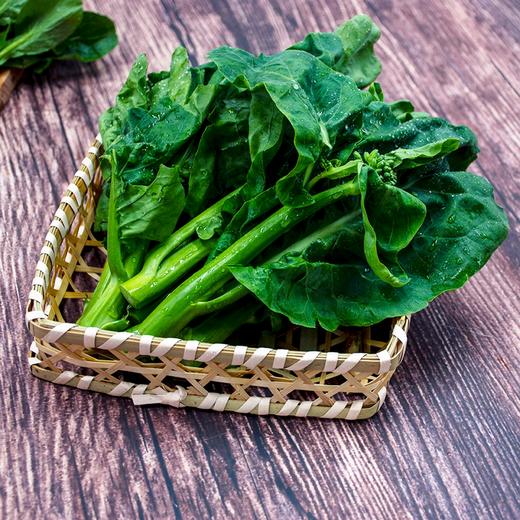 东升农场 有机芥兰苗 芥蓝苗 广州供港新鲜蔬菜配送 250g 商品图1