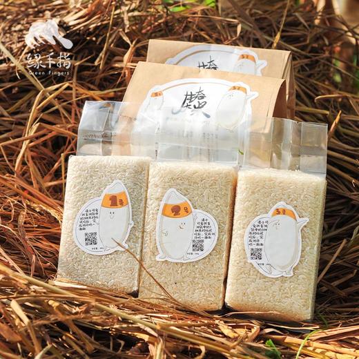 生态大米盲测款  | 合作生产 *Ecological blind estimation of rice payment | Coproduction 商品图1