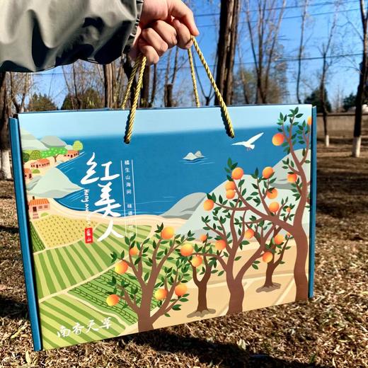 【象山红美人】4.5-5斤/礼盒/12枚大果，浓纯香甜正宗口感 商品图7