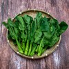 东升农场 有机芥兰苗 芥蓝苗 广州供港新鲜蔬菜配送 250g 商品缩略图4
