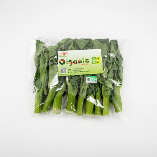 东升农场 有机芥兰 白花芥蓝青菜 广州供港新鲜蔬菜配送 300g 商品图1