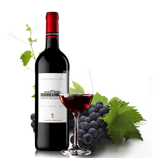 50度禧庆装五粮醇500ml+玛皮卡庄园红葡萄酒750ml 两瓶装 商品图5