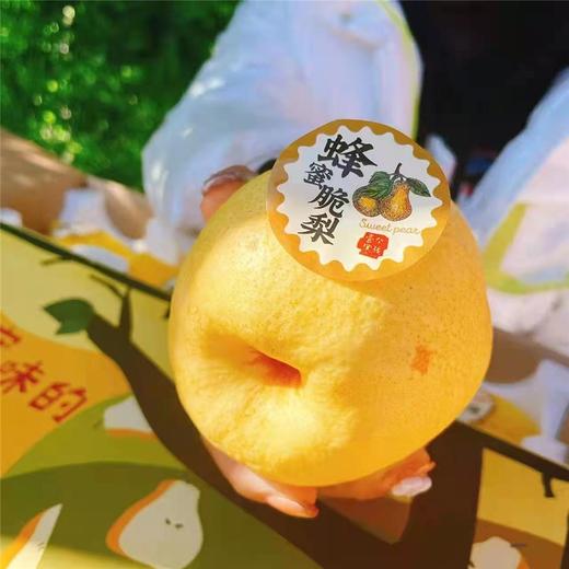 【蜂蜜脆梨】12枚左右/箱/约5.5斤，酥脆、化渣、爆汁甜蜜 商品图1