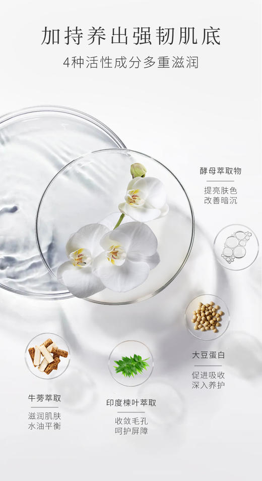 OAO贵妇JI 兰花油｜专li兰花牙胚技术 萃取兰花提取物 专li油包水技术 亲肤力强 好摻透 肌肤莹润保暖 使用前需要摇匀 修腹肌理 嫩肤年轻 保持肌肤弹性 增强皮肤免役力 以油养肤 凝驻时光 商品图6