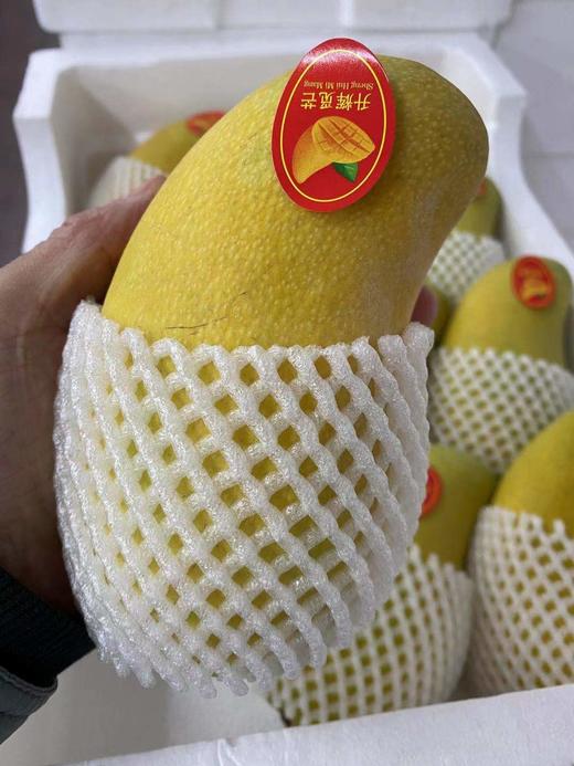 周五取货：【订金链接】特惠11.8/斤，海南水仙芒！超级香甜！订金5元，到店称重补差价！ 商品图6