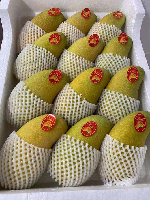 周五取货：【订金链接】特惠11.8/斤，海南水仙芒！超级香甜！订金5元，到店称重补差价！ 商品图3