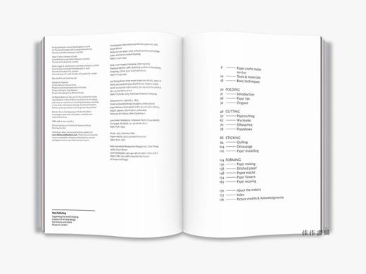 Paper Crafts: A Maker's Guide/纸工艺品：制造商指南 商品图1