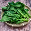 东升农场 有机芥兰苗 芥蓝苗 广州供港新鲜蔬菜配送 250g 商品缩略图3