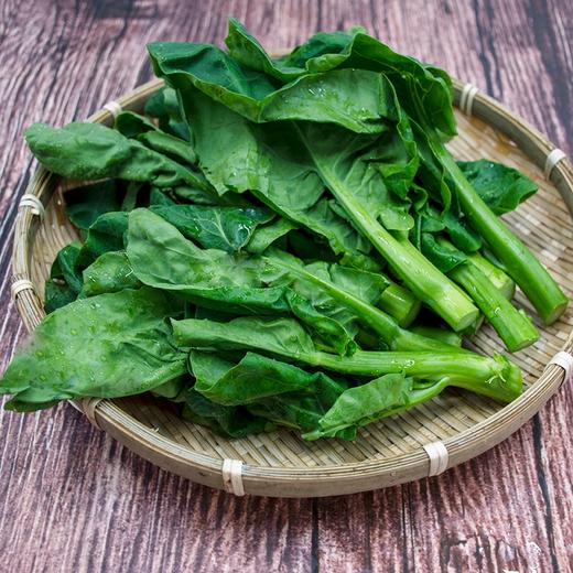 东升农场 有机芥兰苗 芥蓝苗 广州供港新鲜蔬菜配送 250g 商品图3
