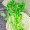 东升农场 香芹 芹菜  青菜辅料 广州蔬菜新鲜配送 150g 商品缩略图2