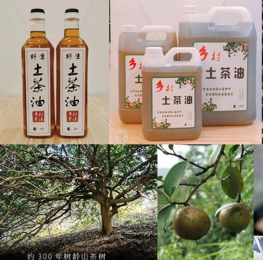 谷梁心选｜乡土特产耒阳土茶油，古法冷榨，原生更营养，烹饪更滋味。规格：5斤*1桶 商品图1