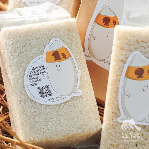 生态大米盲测款  | 合作生产 *Ecological blind estimation of rice payment | Coproduction 商品图5