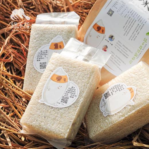 生态大米盲测款  | 合作生产 *Ecological blind estimation of rice payment | Coproduction 商品图0