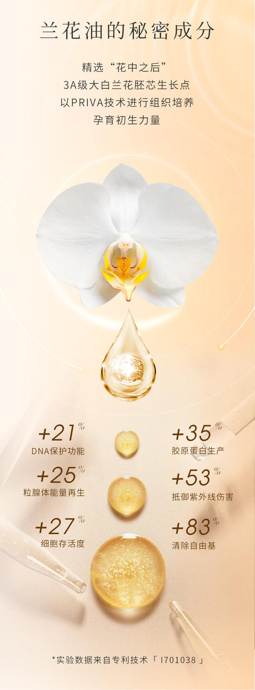 OAO贵妇JI 兰花油｜专li兰花牙胚技术 萃取兰花提取物 专li油包水技术 亲肤力强 好摻透 肌肤莹润保暖 使用前需要摇匀 修腹肌理 嫩肤年轻 保持肌肤弹性 增强皮肤免役力 以油养肤 凝驻时光 商品图4