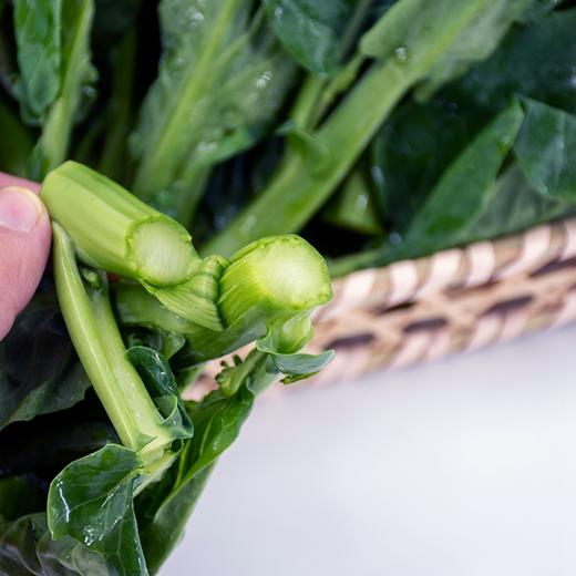 东升农场 有机芥兰 白花芥蓝青菜 广州供港新鲜蔬菜配送 300g 商品图5